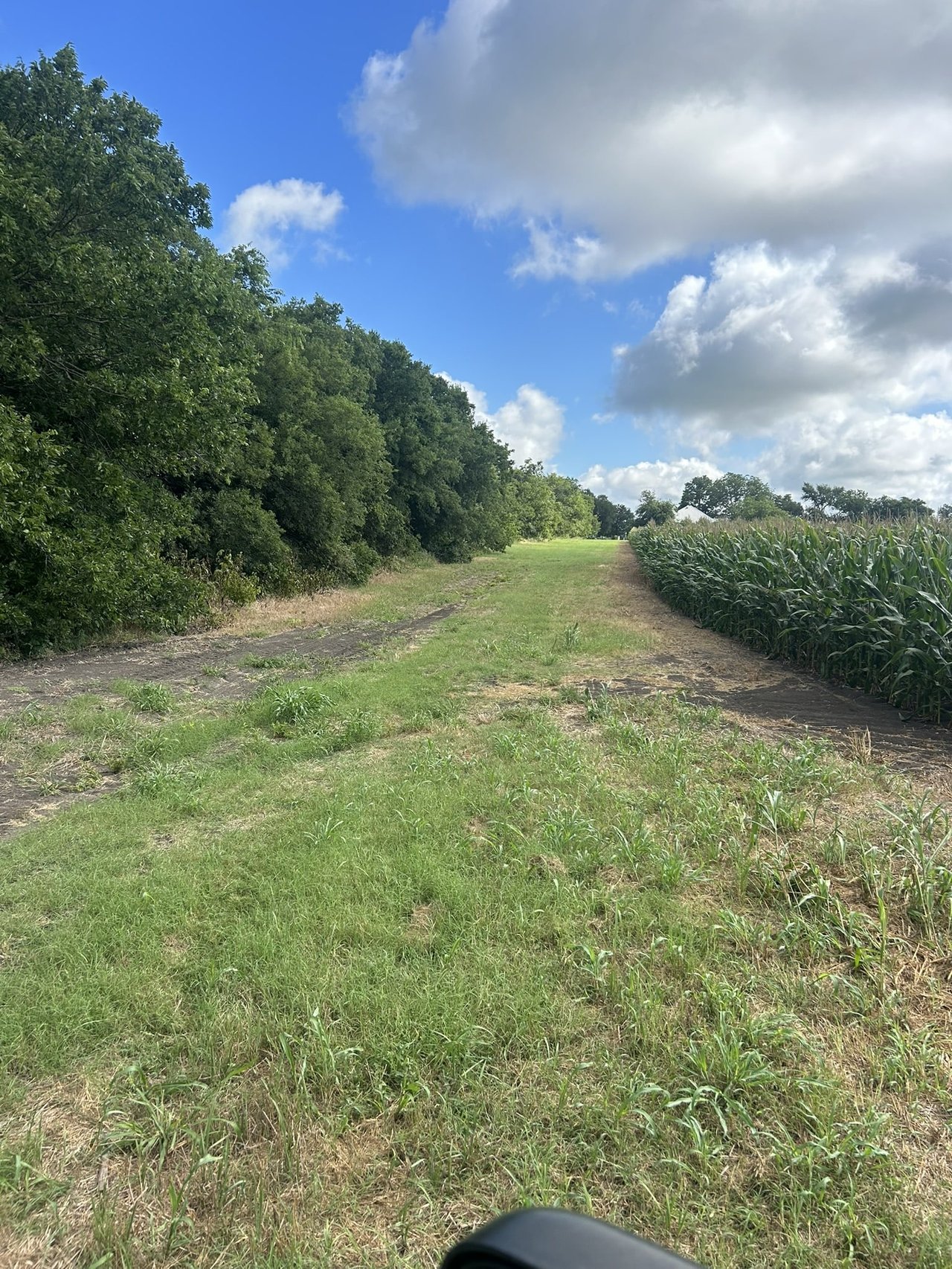 25 Acres in Temple, Tx