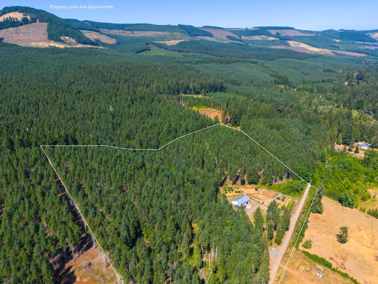 Thetford Home & Forest