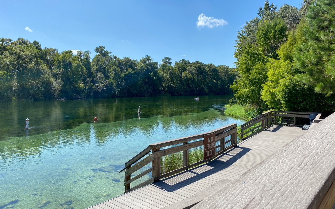 Magnolia Springs