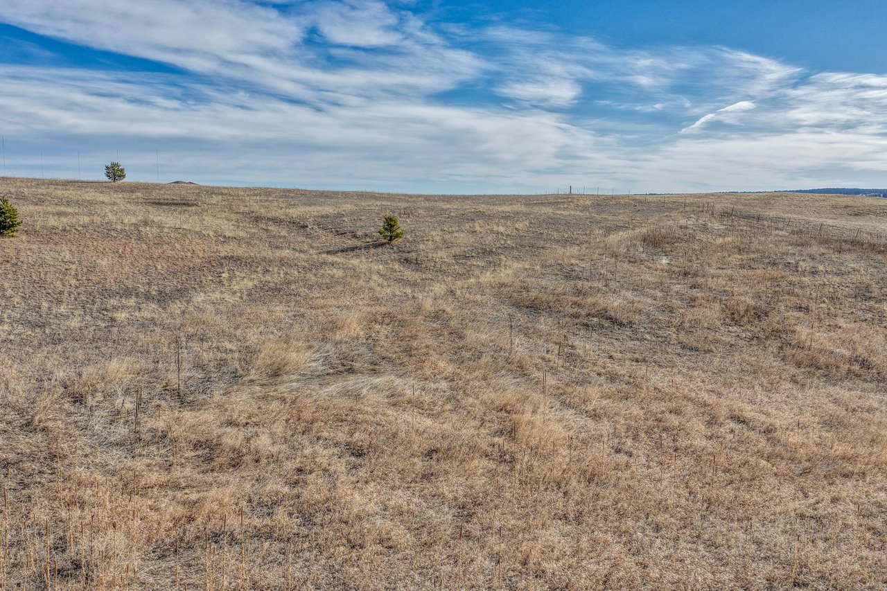 16670 Misfit Crew Heights