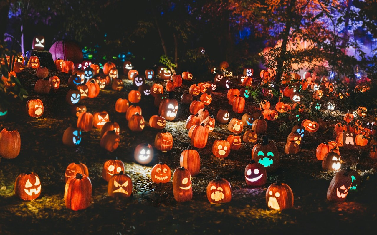 🎃 2025 Trick-or-Treat Times Across Genesee County, Michigan