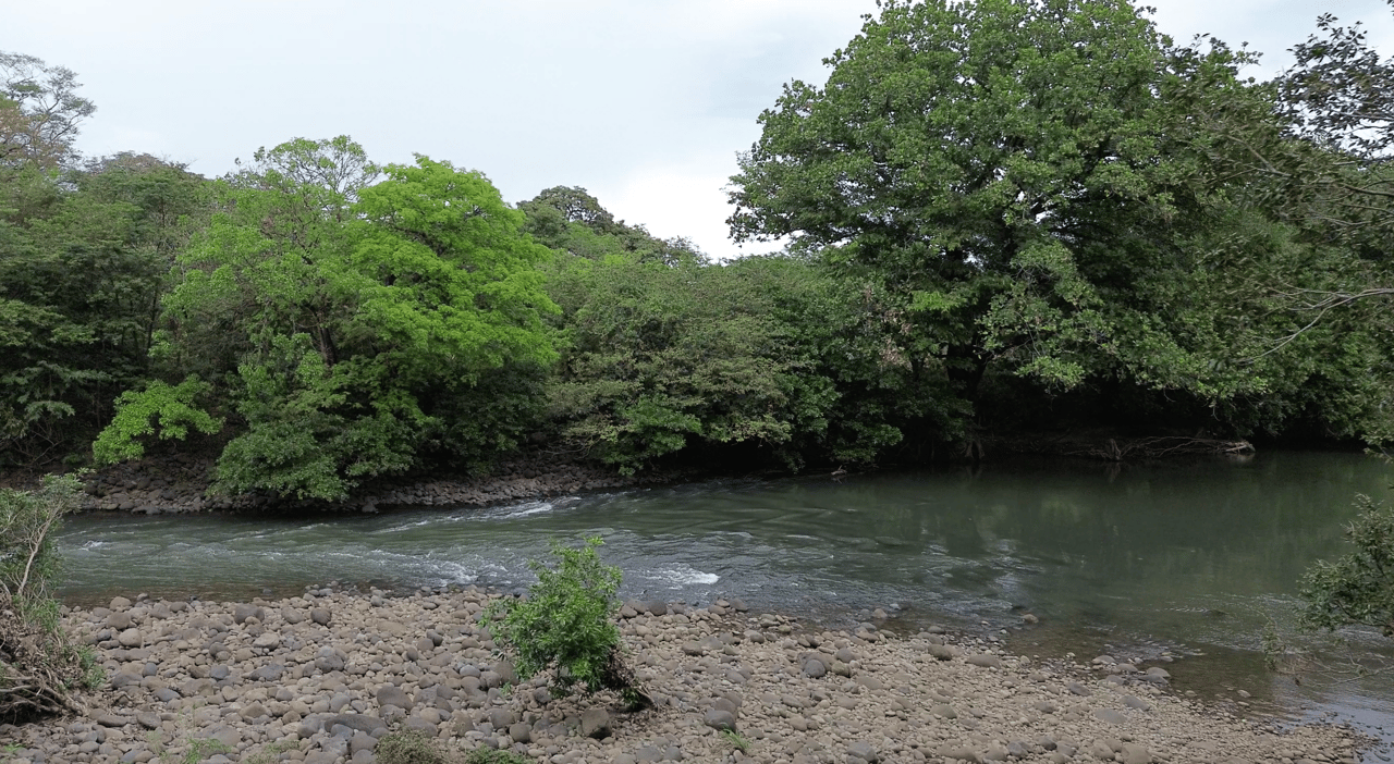 Riverside 7-acre Parcel with Well and Fruit Trees