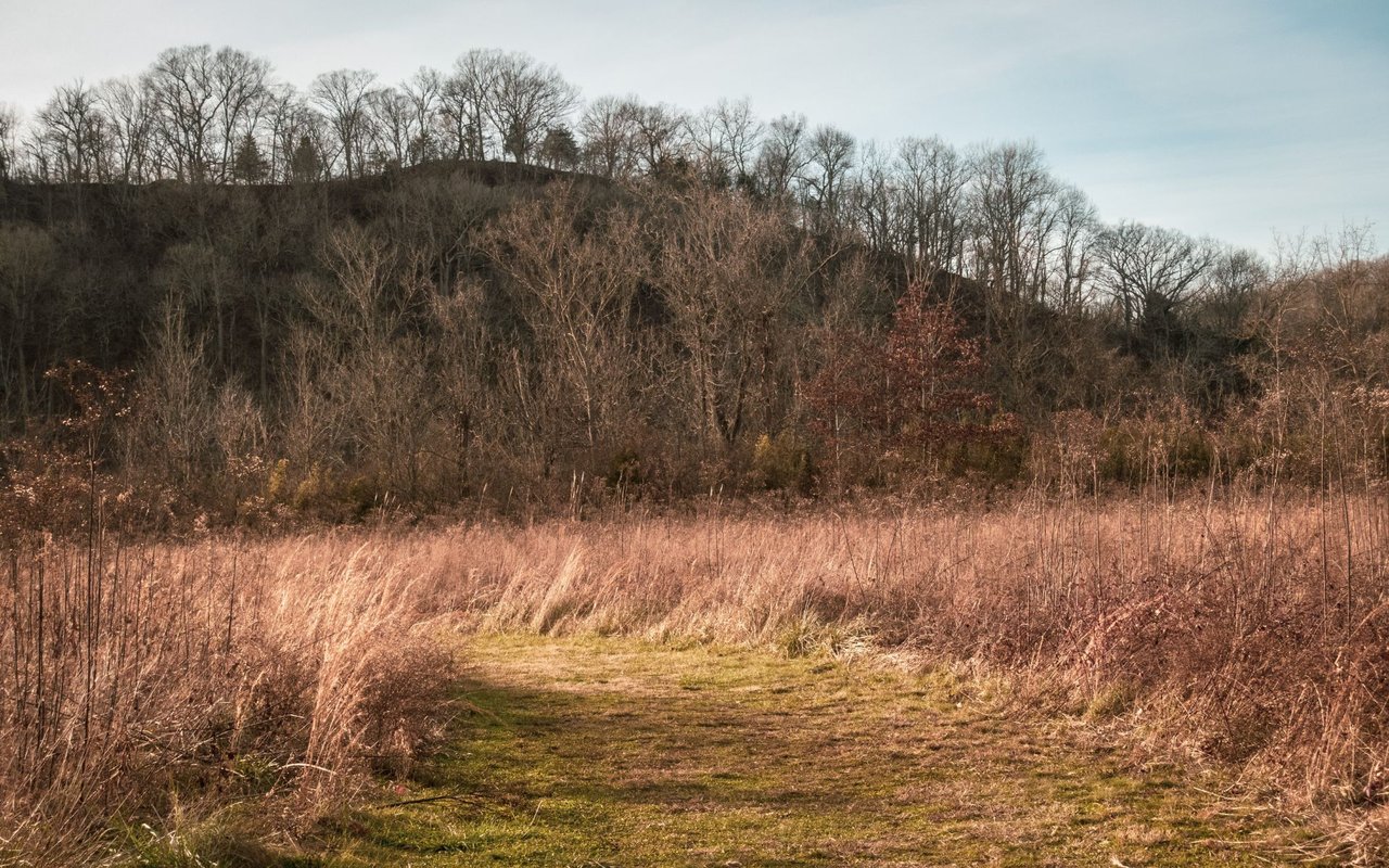 Bells Bend | Bordeaux-Whites Creek