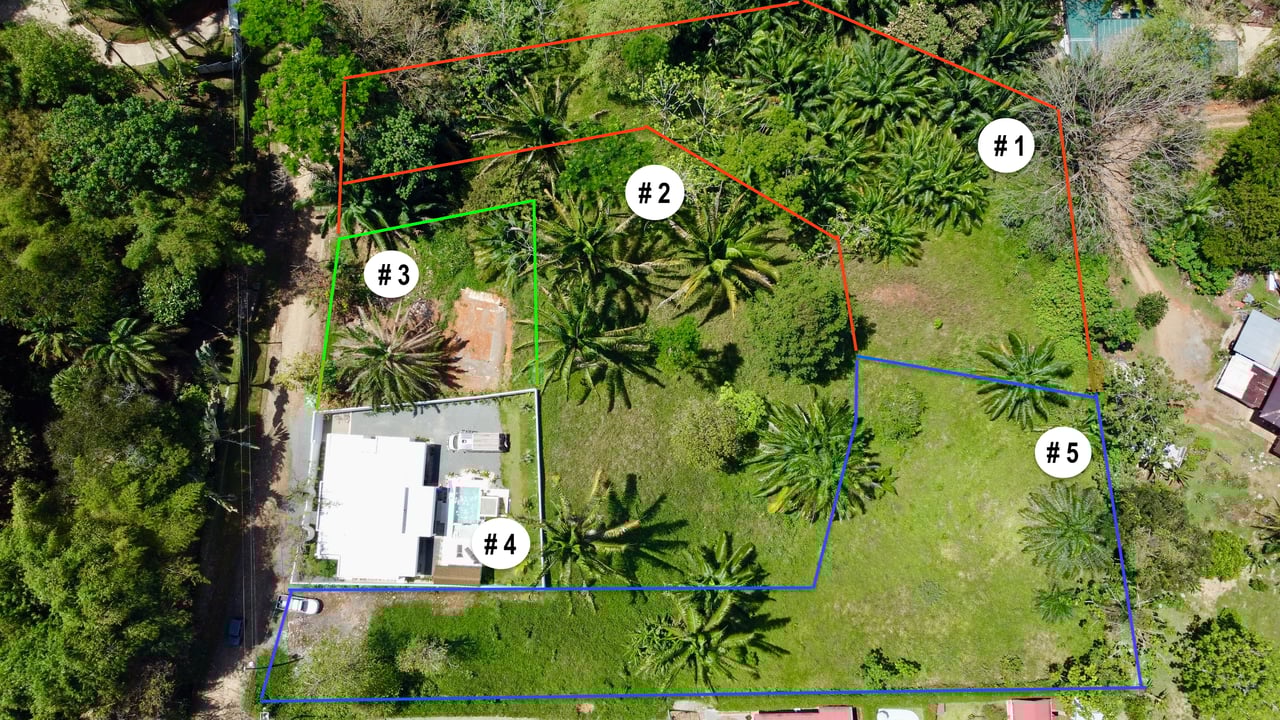 4 Development Lots  in Jardines del Morete