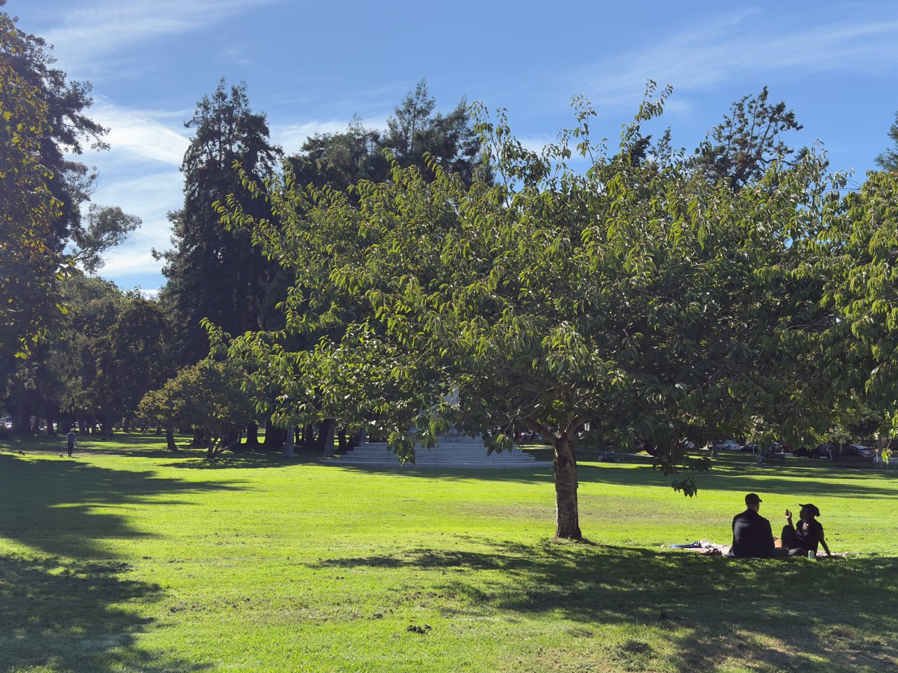 District 6 – Central North