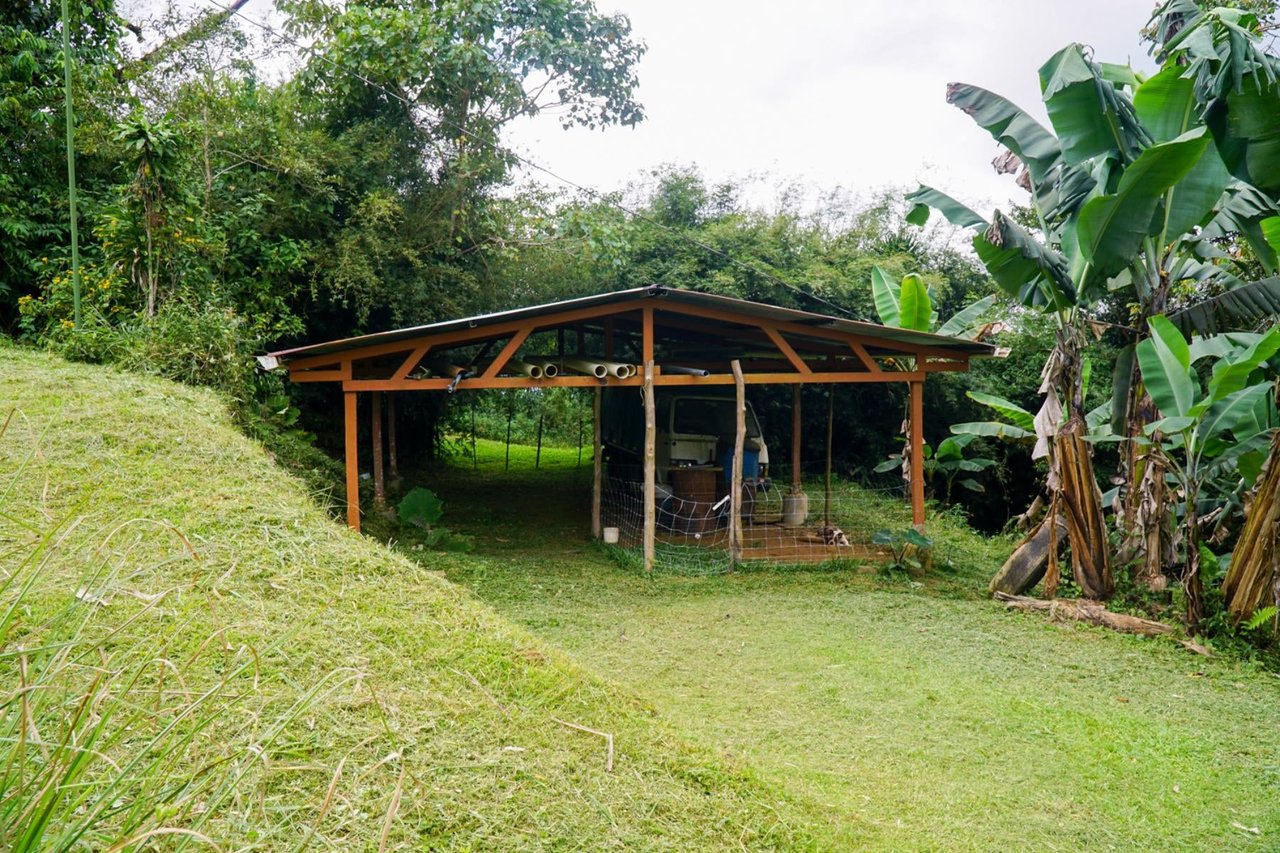 Sustainable Organic Mountain Farm, Perez Zeledon, San Jose