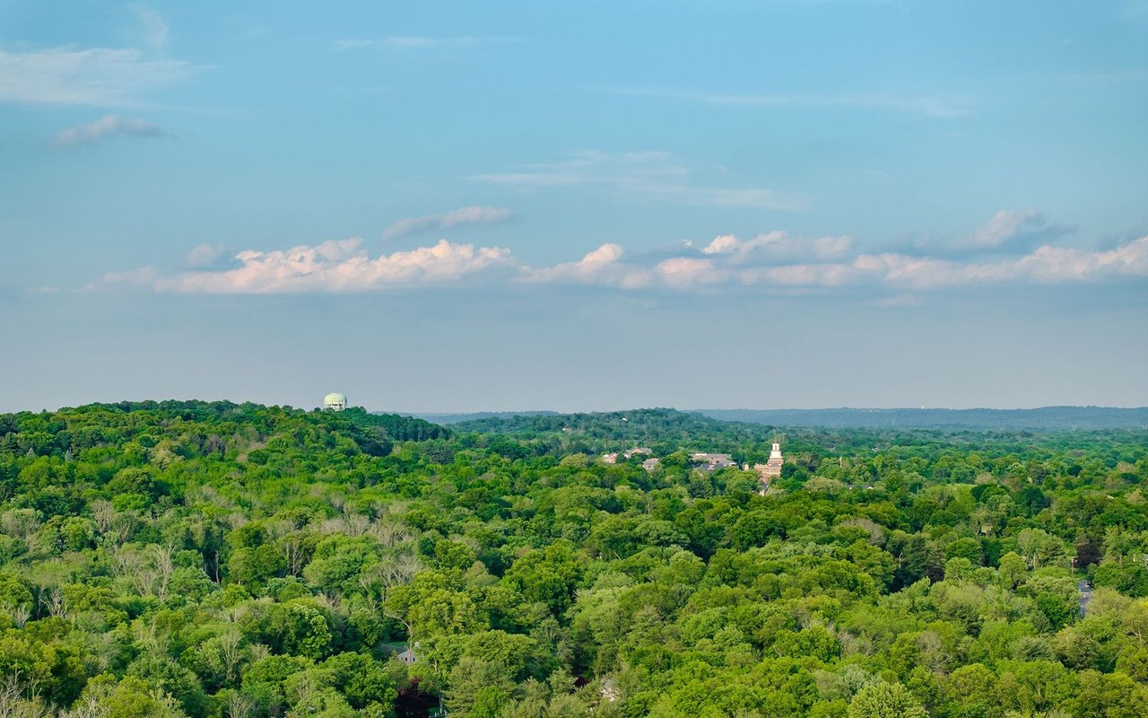 Basking Ridge