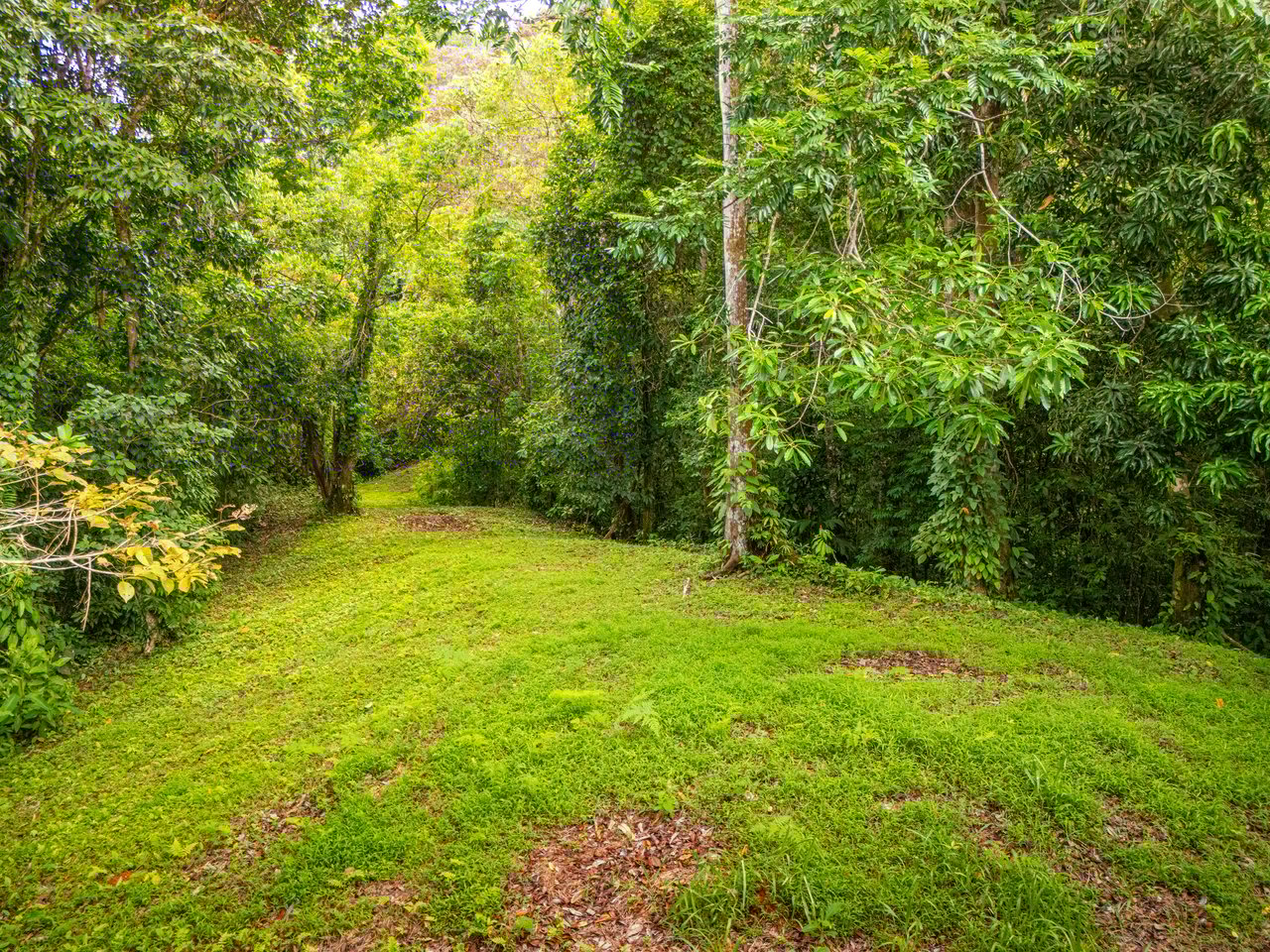 Tropical Paradise in Cascada Sándalo, Tres Ríos Ocean & Mountain Views | Gated Community | Abundant Nature