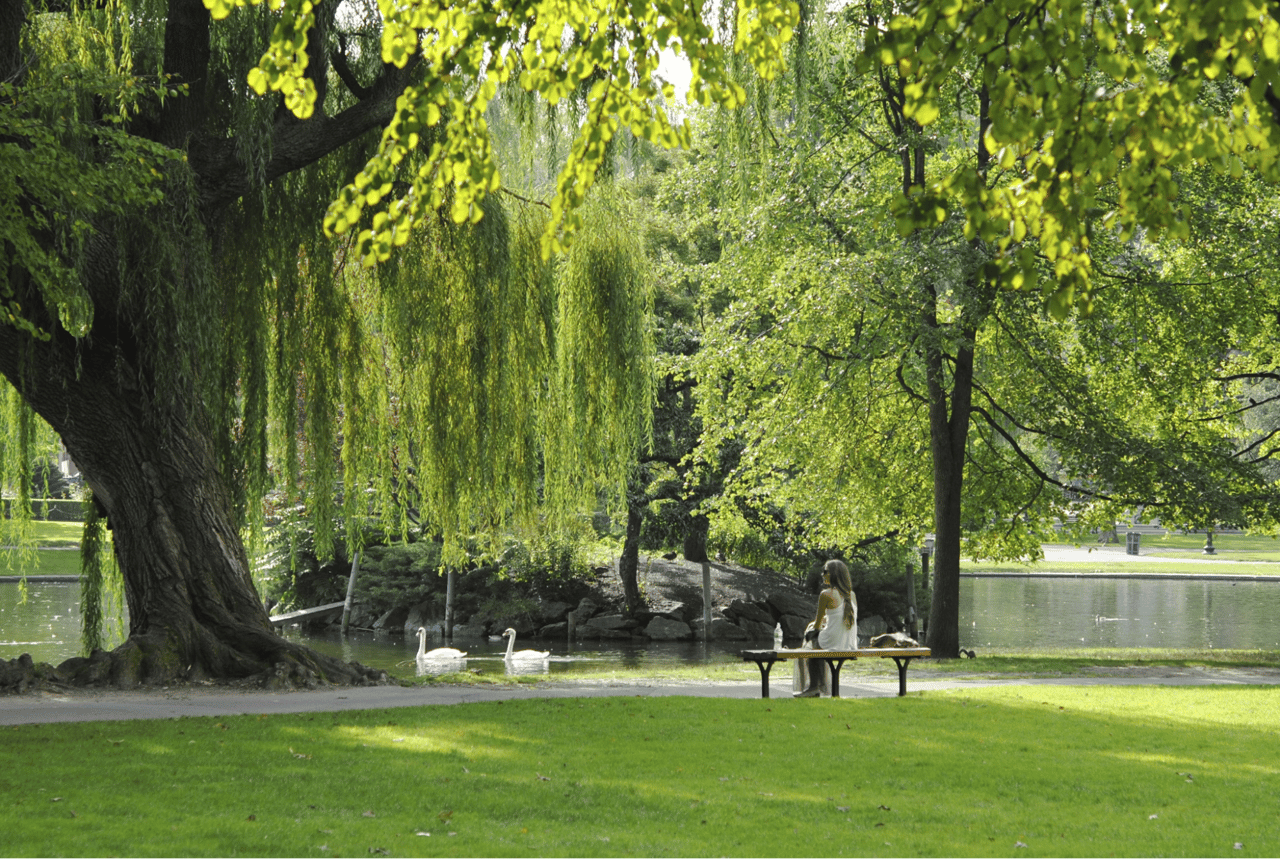 Top Outdoor Activities in Newton