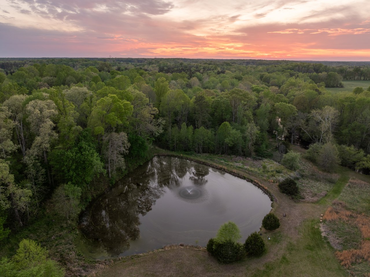 12428 Walnut Hill Drive