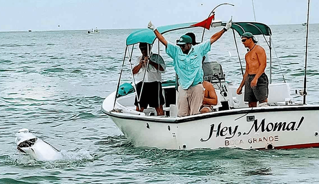 Tarpon Fishing Special: Spotlight on Boca Grande Pass