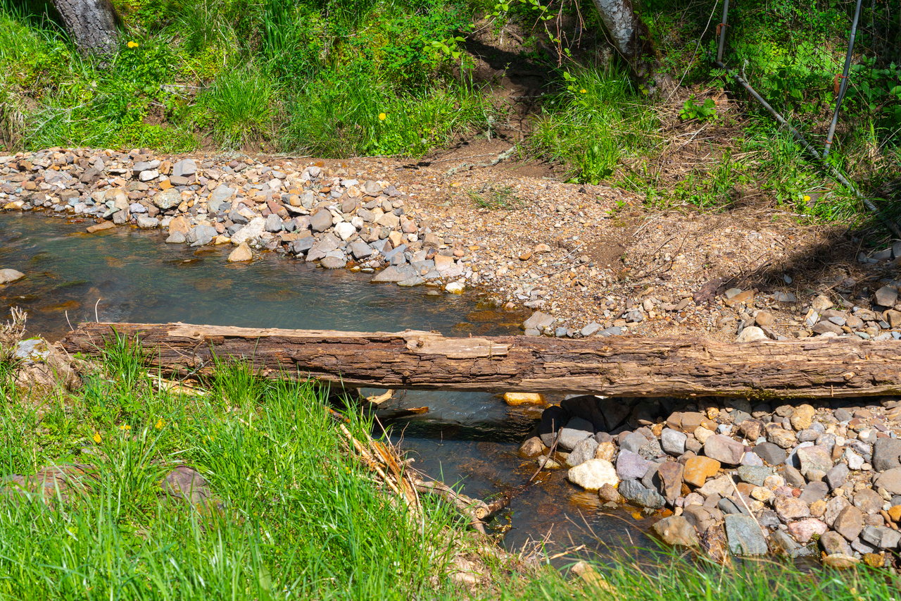 Mosby Creek Farm & Forest