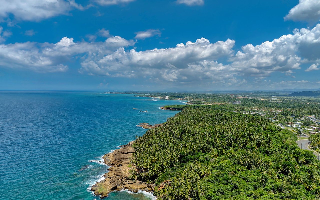 Vega Alta
