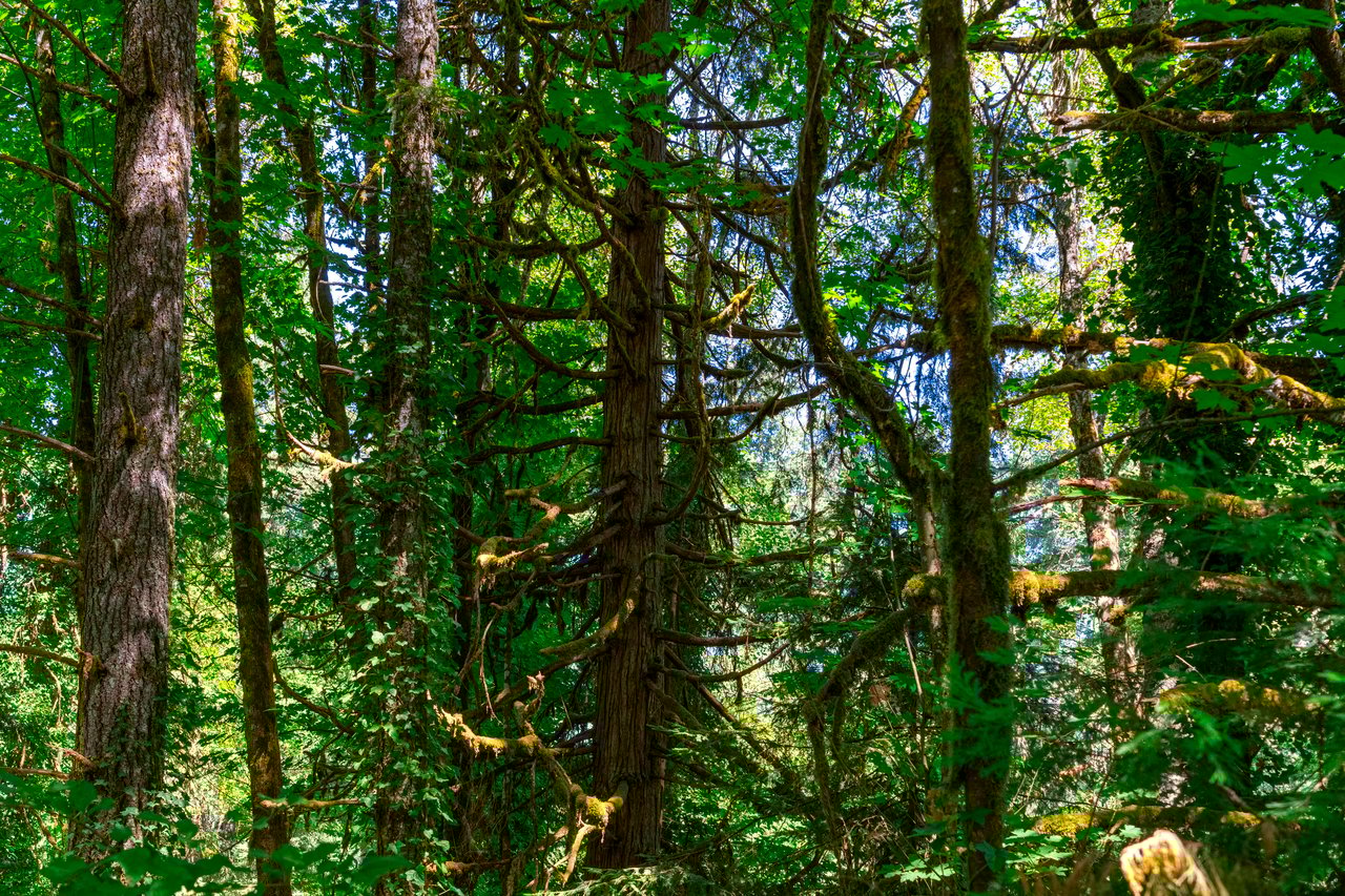 London Grove Riverfront