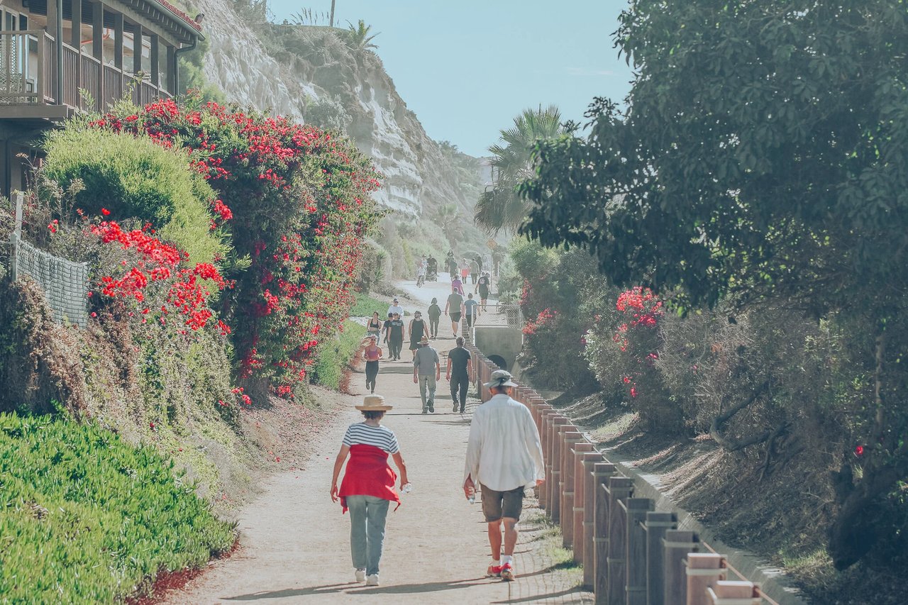 Life Along The San Clemente Beach Trail