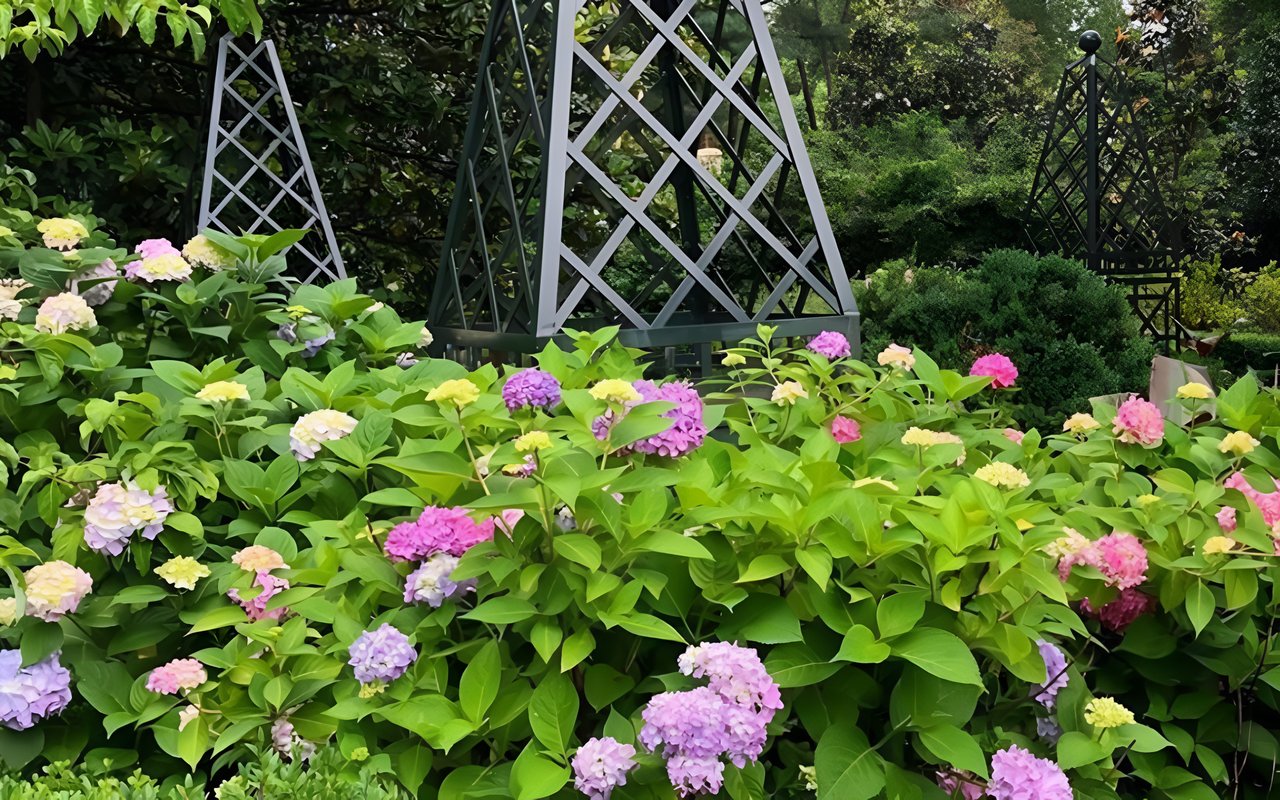 Agents Respond: Where Are the Best Places for a Picnic in the Charlotte, NC Area?