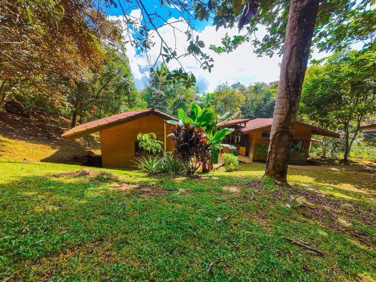 Serene Jungle Home + Guest Cabin on 3 Acres and River