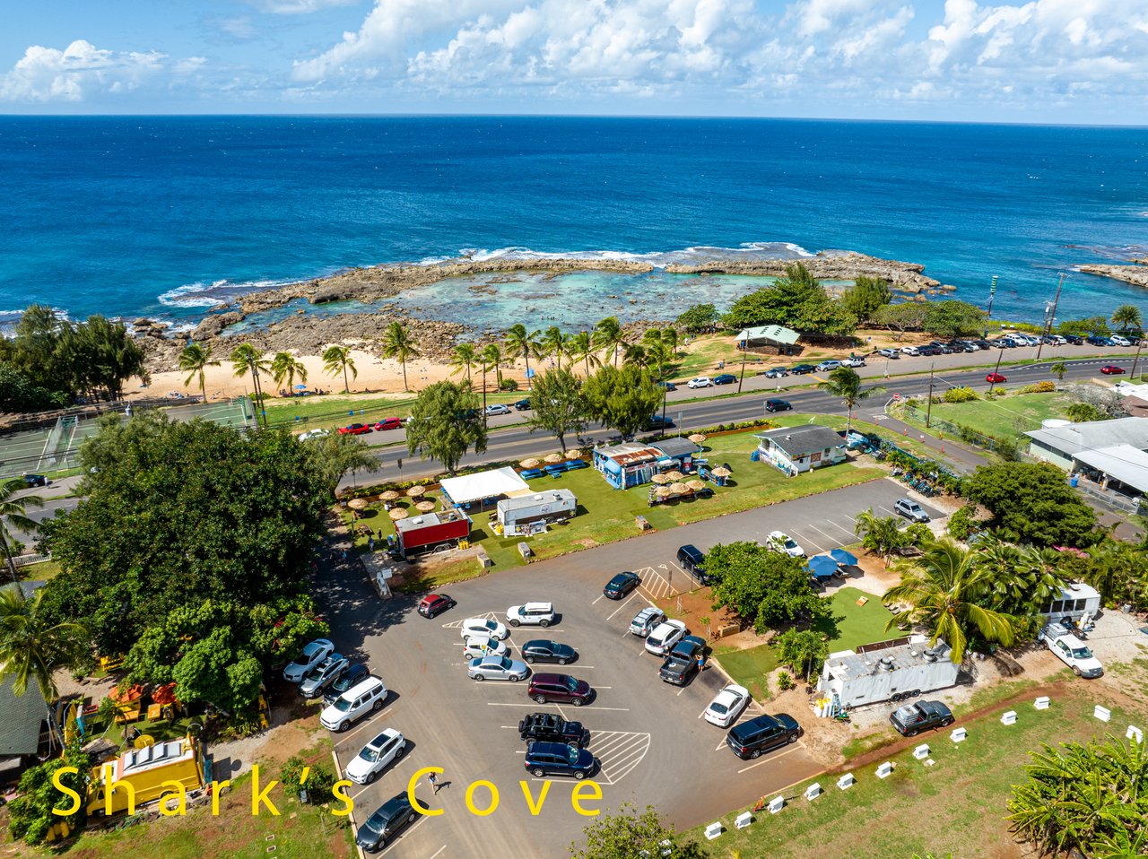 Turtle Bay 1 Bedroom with Loft SLEEPS 4-6