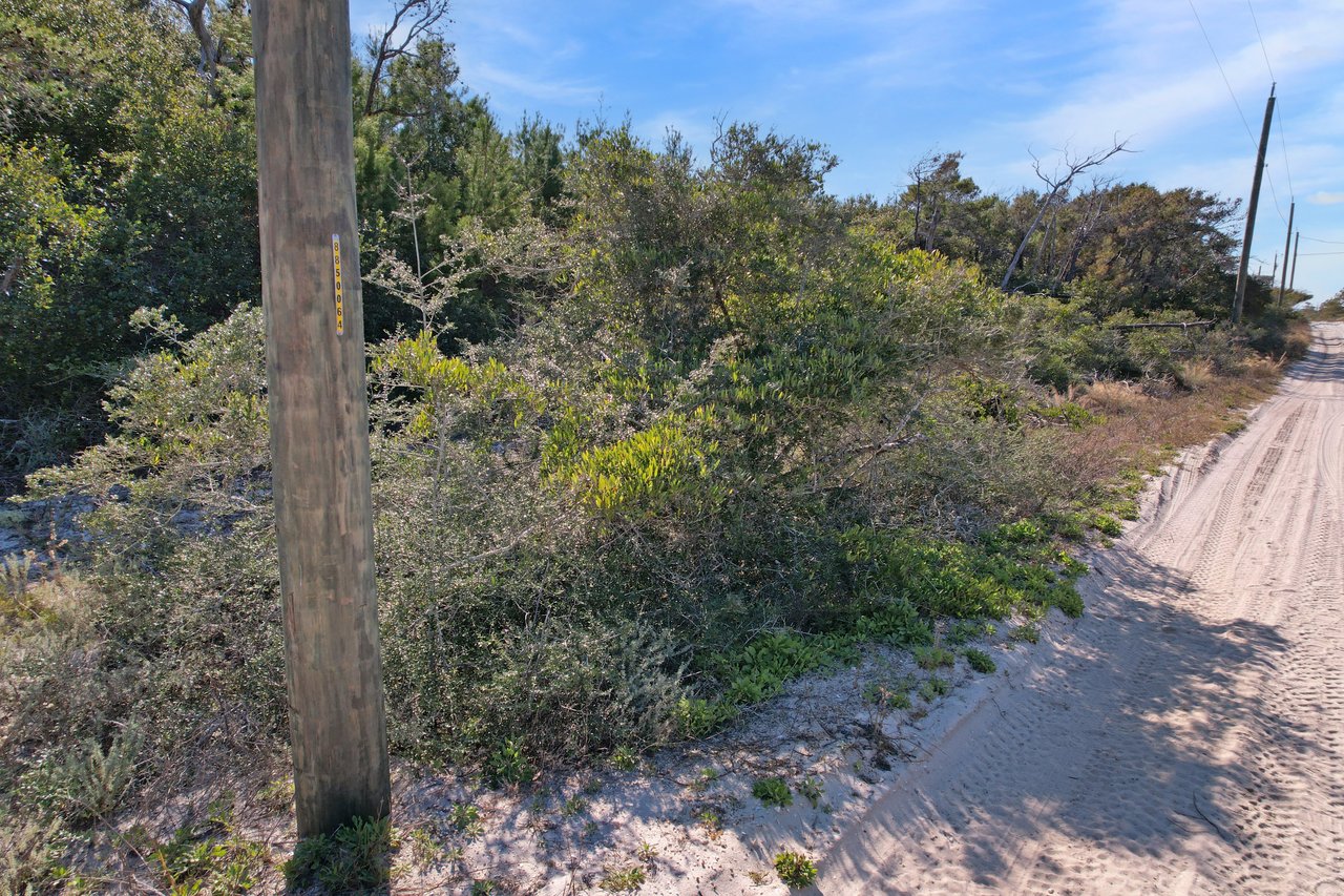 electric poles near 834 gulf shore drive, carrabelle, florida lot on dog island