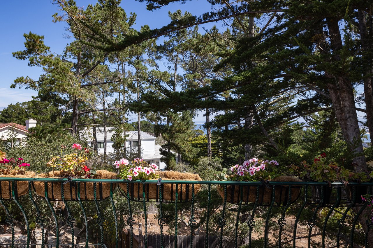 Spacious Skyline Forest Living