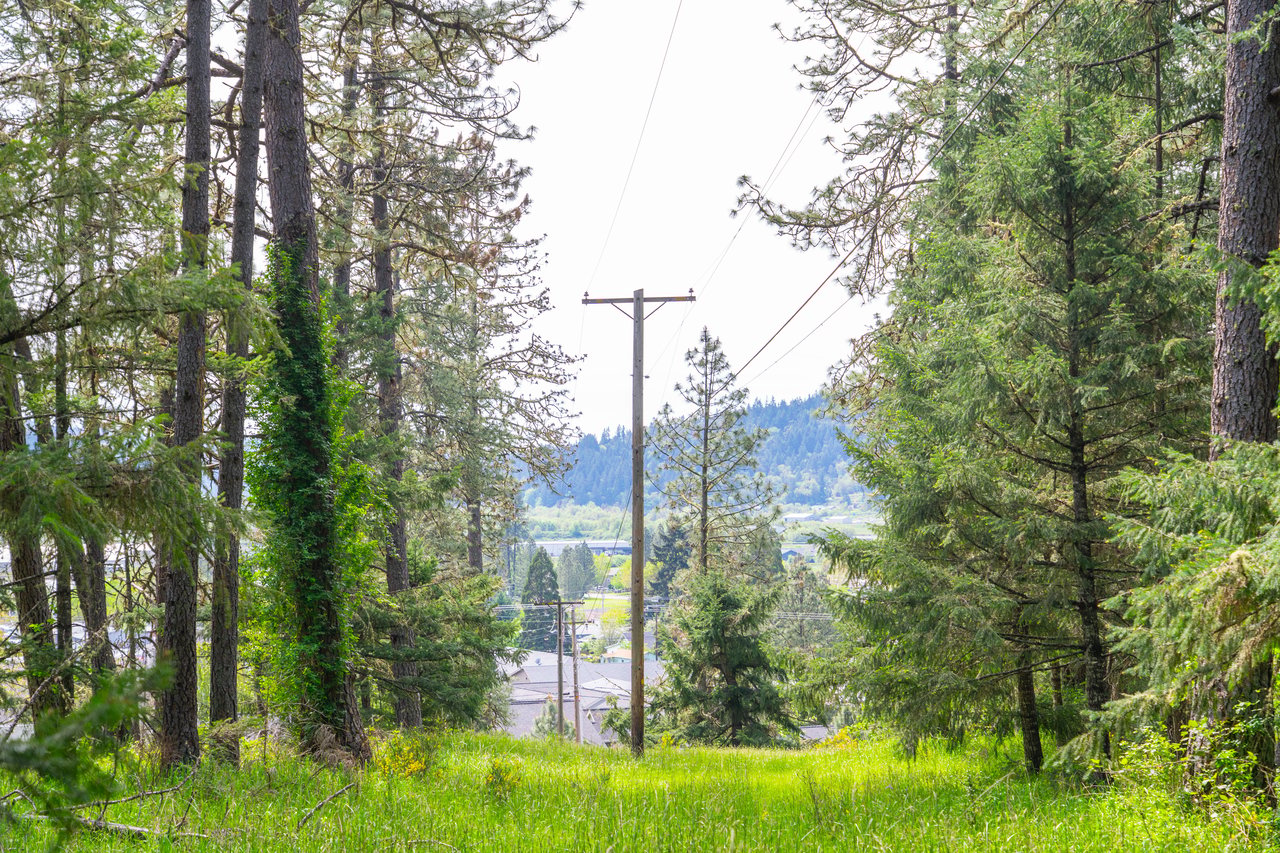 SUTHERLIN WOODLOTS