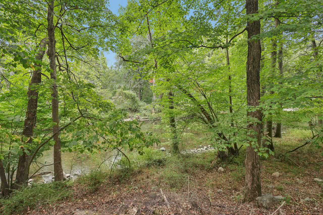 4 Point View