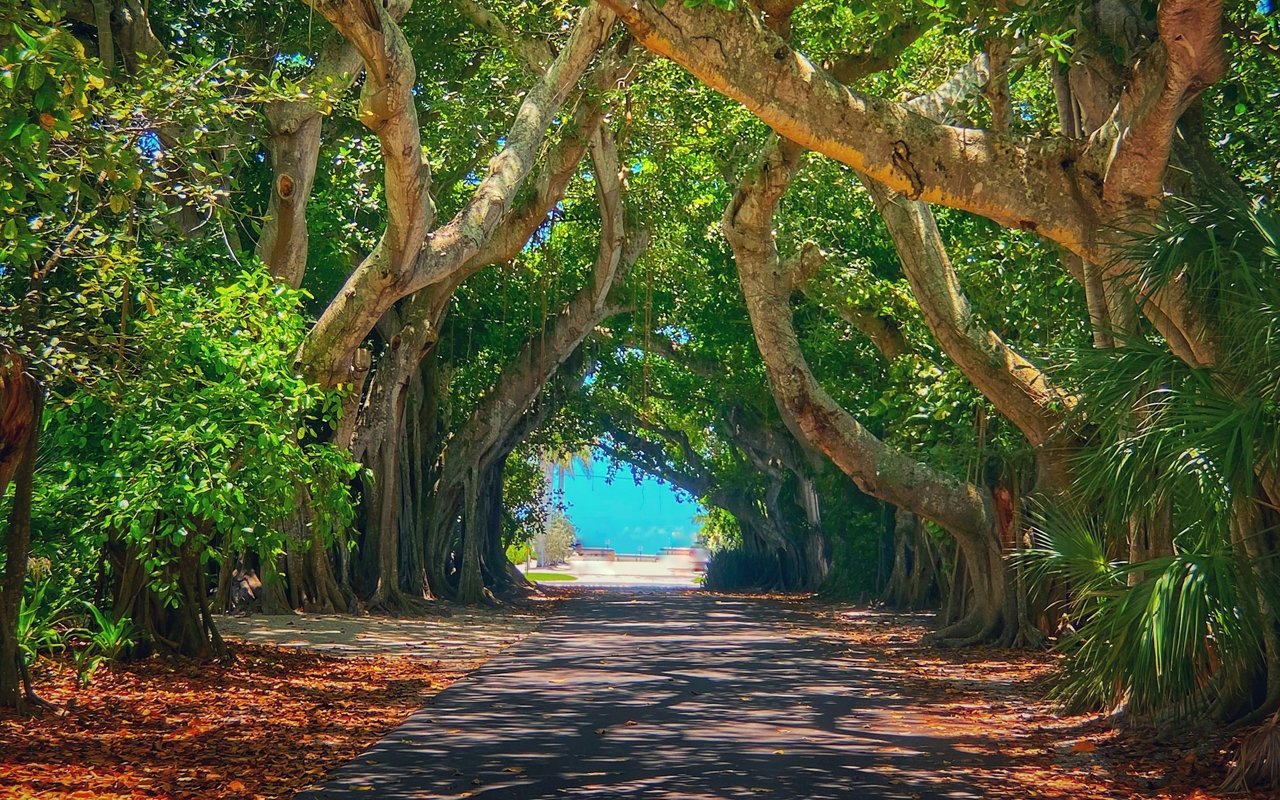 Boca Grande