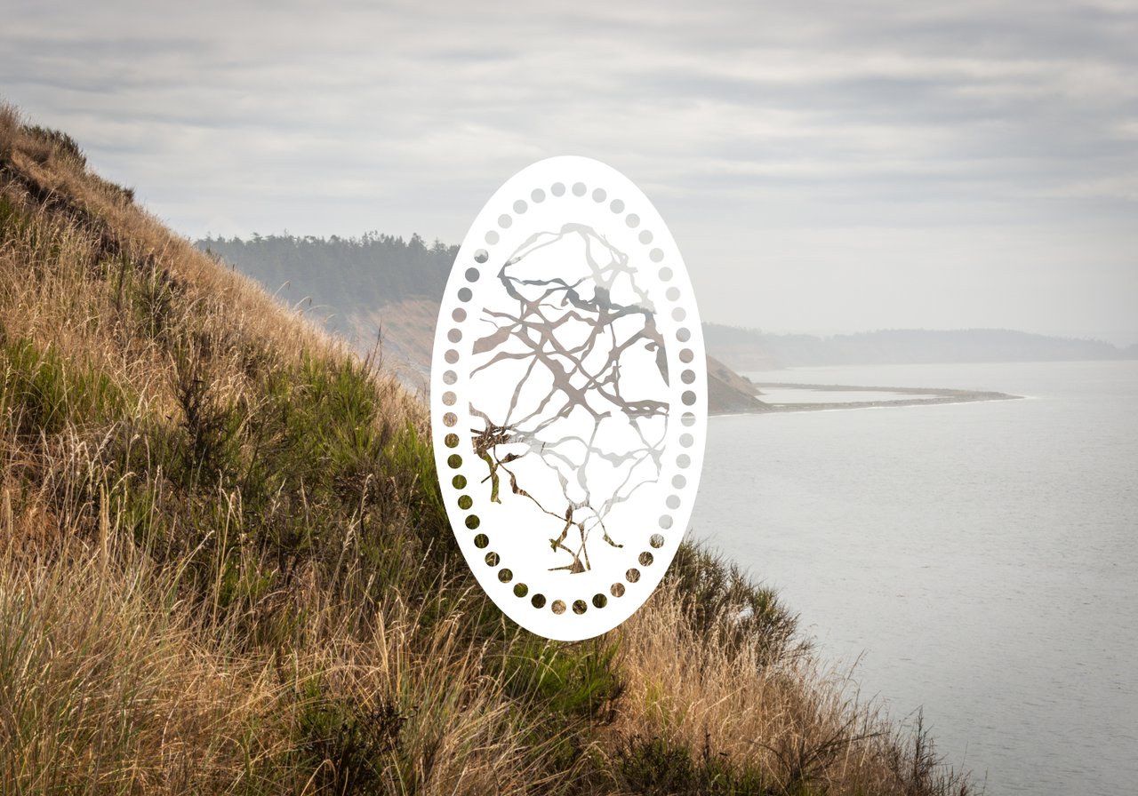 Local's Guide to Living in Coupeville, Washington
