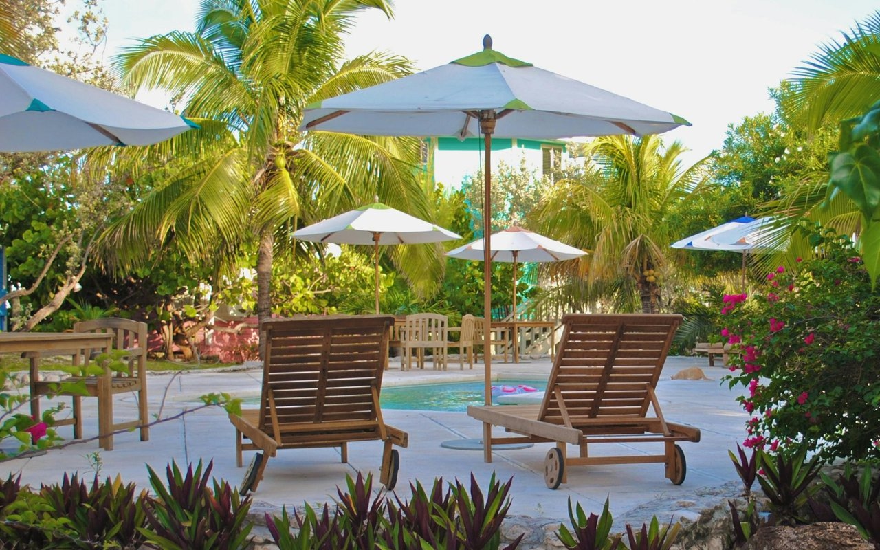Day Clubs – Los Cabos