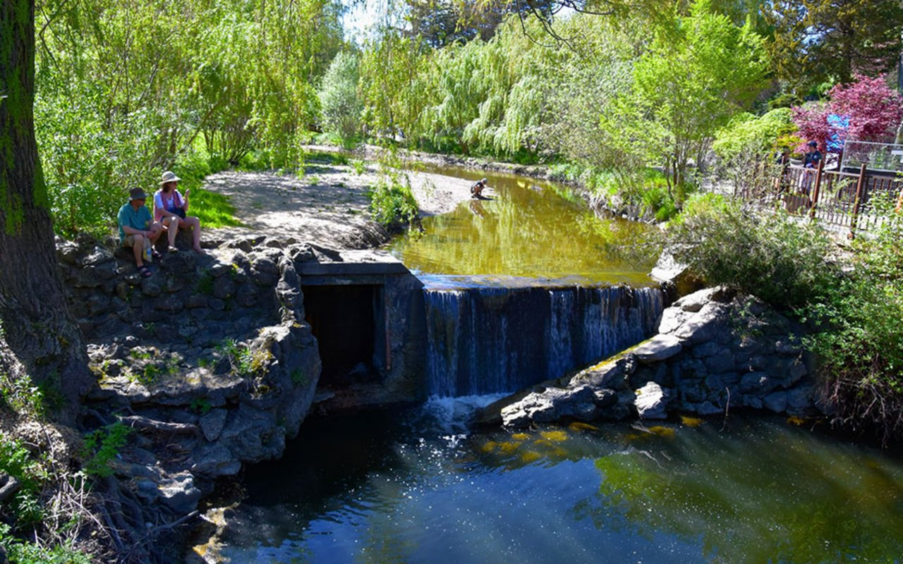 Toronto Neighbourhoods for Nature Lovers