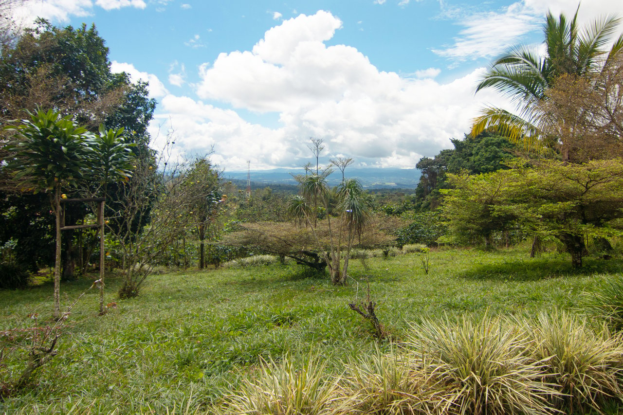 Sustainable Sanctuary: Wooden Farm House, 3 Acres + Food Forest