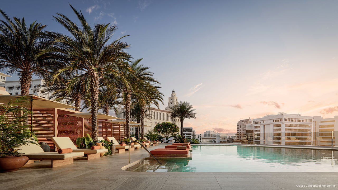 Rooftop pool with palm-shaded loungers and city skyline at sunset.