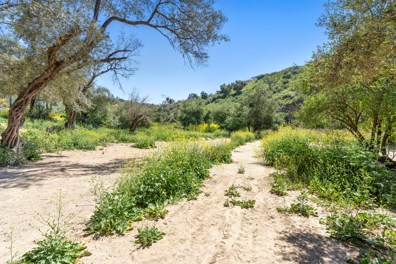 Vacant Lot in Modjeska Canyon 