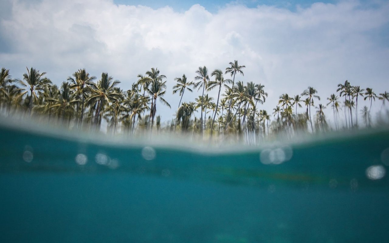 Top Reasons Luxury Homeowners Choose to Live in Hawaii