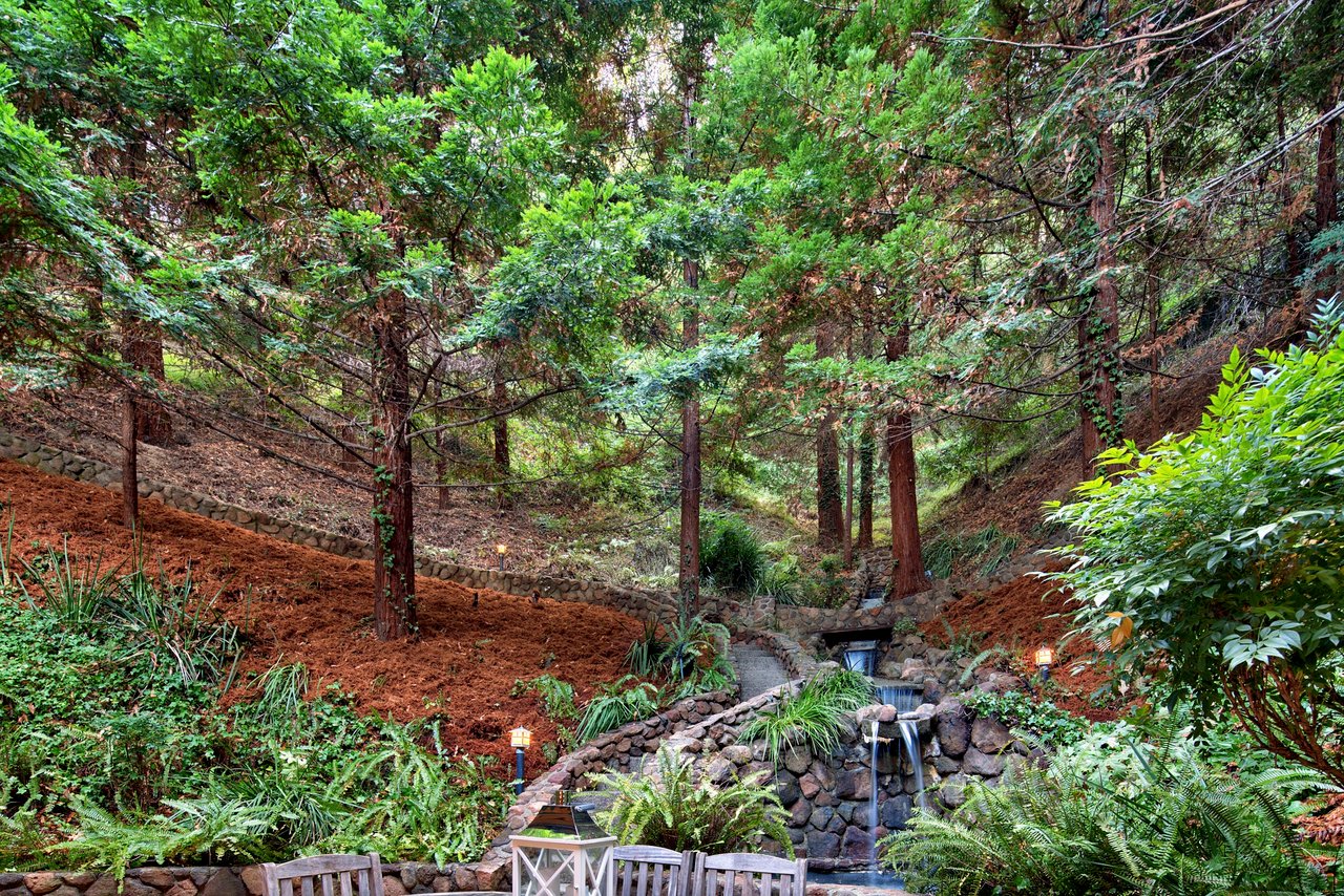 14 Sierra Circle, San Rafael