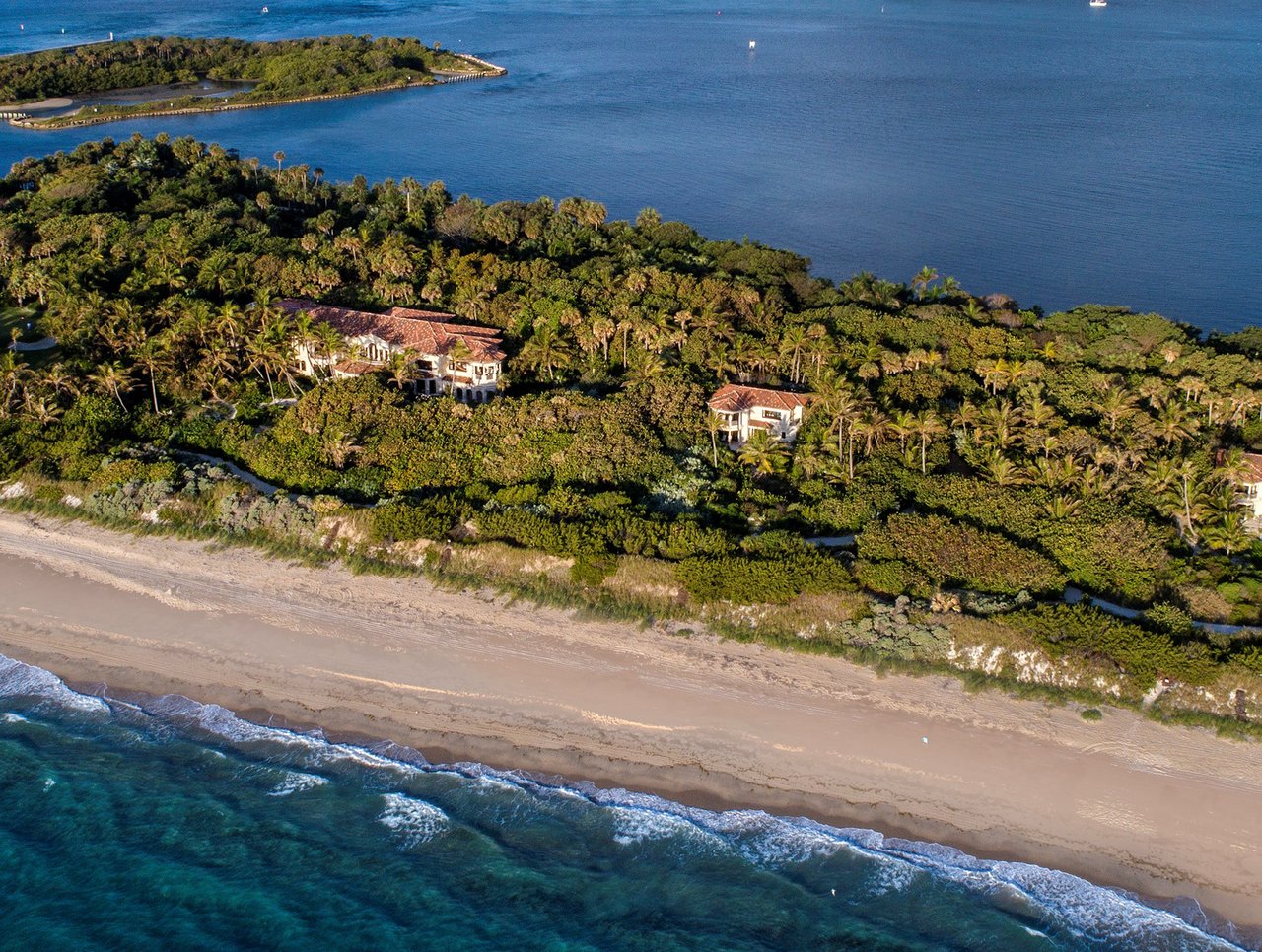 Iconic Markets | Spotlight on Palm Beach