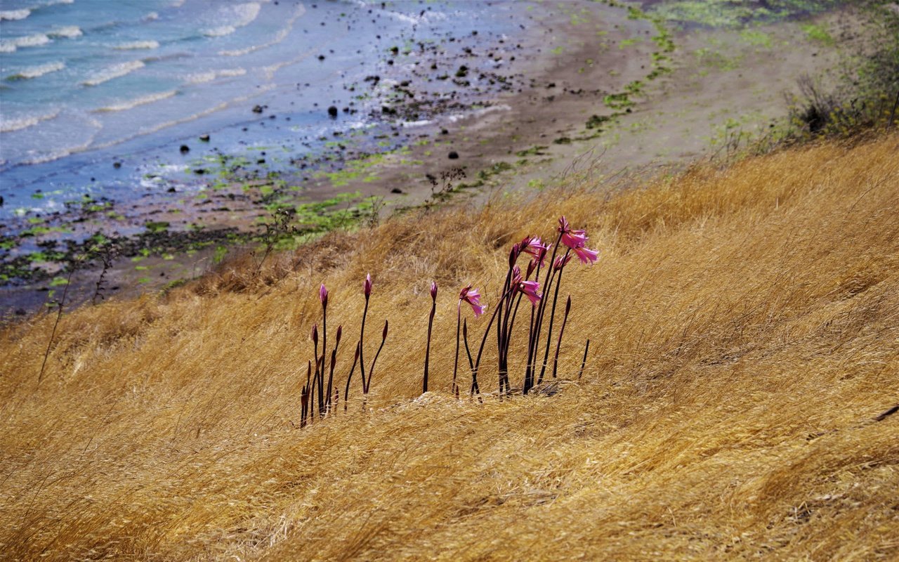 East Bay