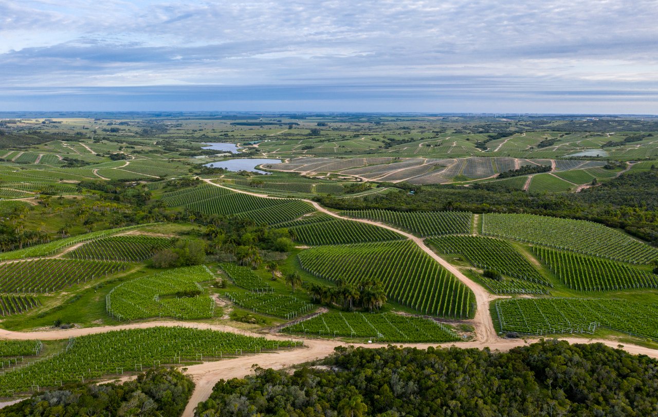 LA TERTULIA  -  Garzon, Uruguay.