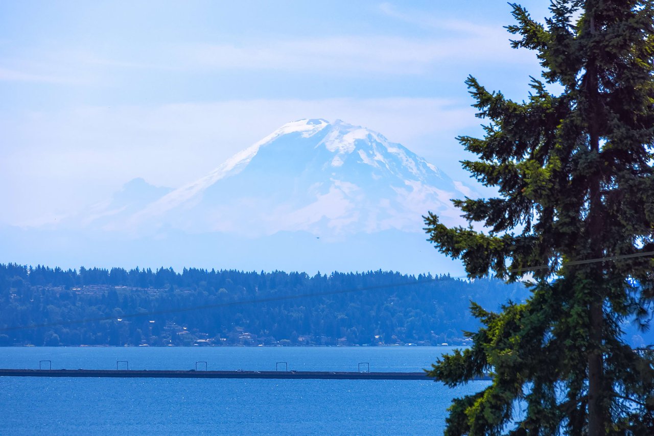 Madrona Craftsman