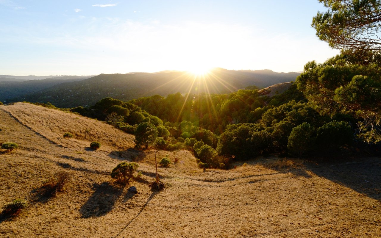 184 Oak Springs Drive, San Anselmo