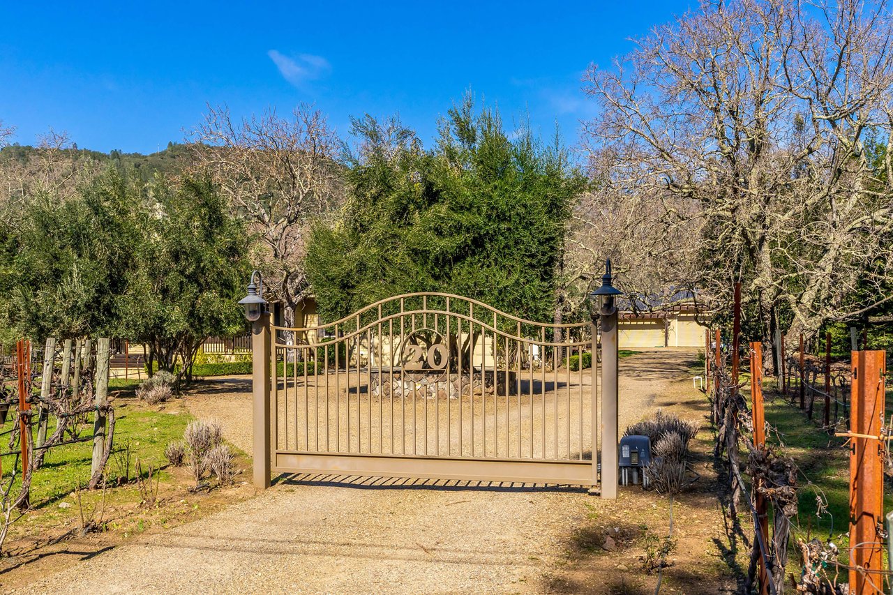 Vineyard Paradise - SOLD