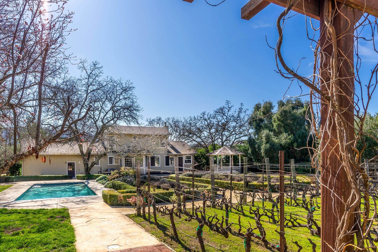Vineyard Paradise - SOLD
