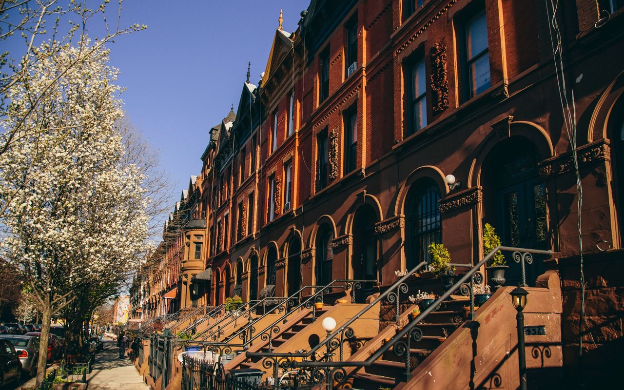 Bedford-Stuyvesant