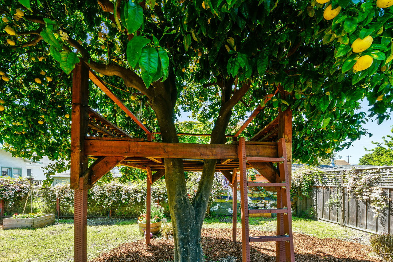 811 Santa Clara Ave