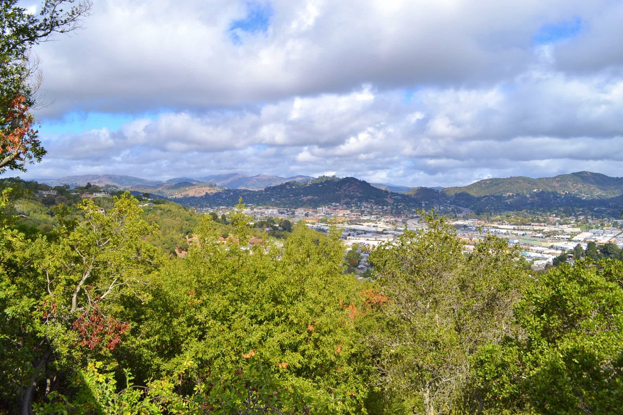 84 Bret Harte Road, San Rafael