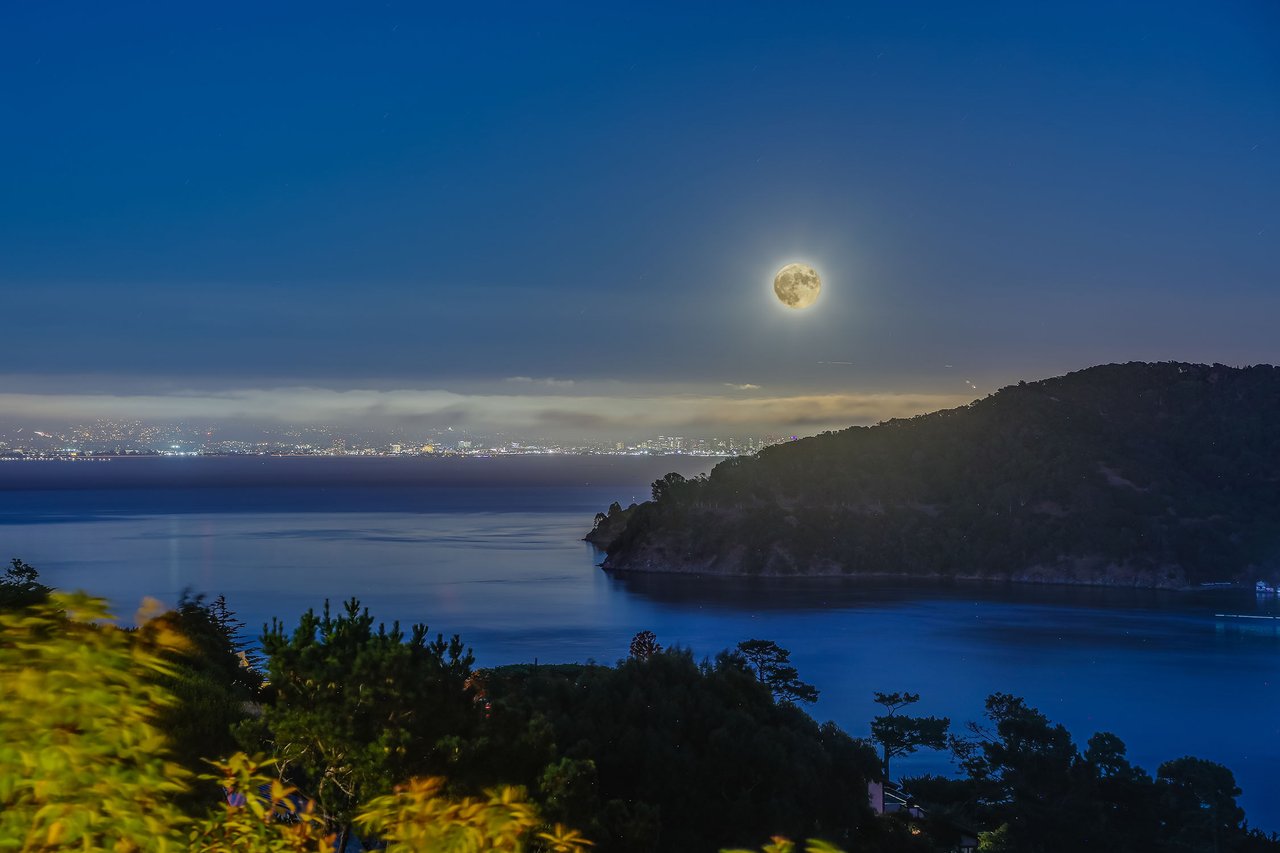 Captivating Tiburon Estate