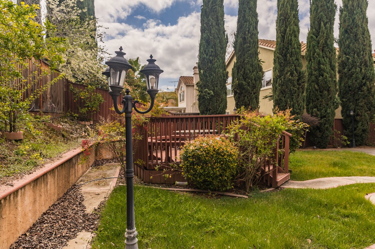 Exclusive Evergreen Home