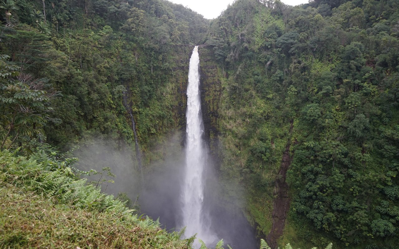 A Few Reasons Why Life on the Big Island Is Right for You!