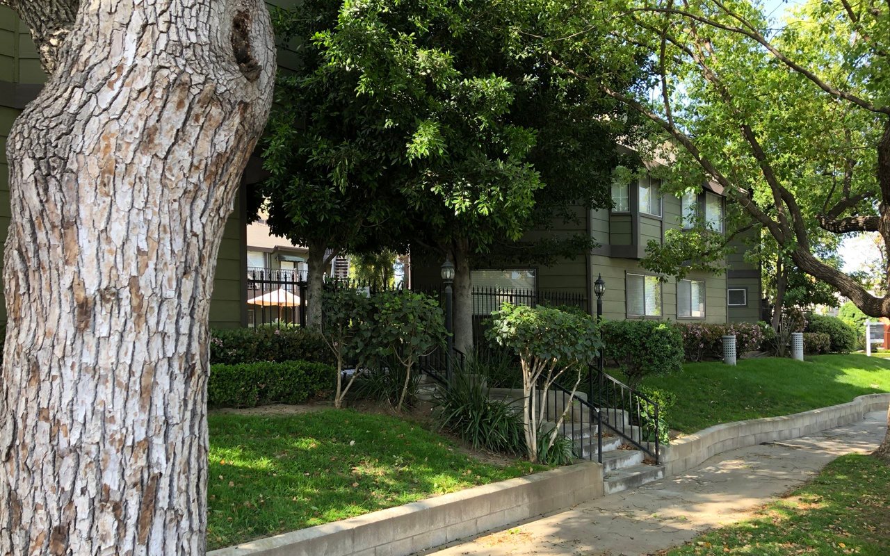 246 Alpine St #6