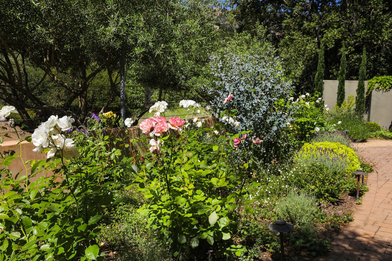 Lucas Valley Estates